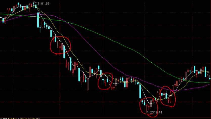 我市高标准农田项目建设获超长期特别国债资金支持
